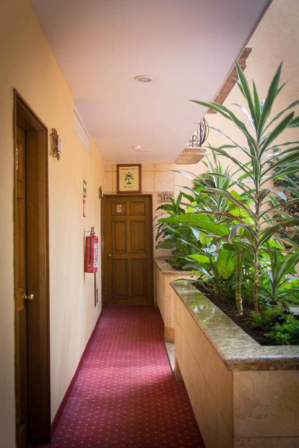 Hotel Santa Maria Meksika Dış mekan fotoğraf