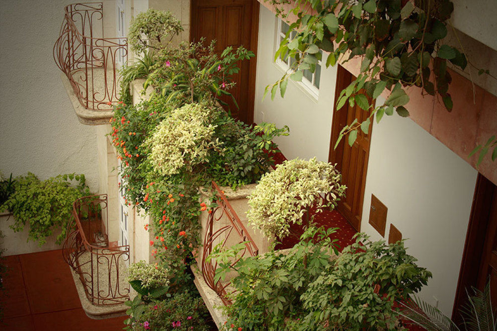 Hotel Santa Maria Meksika Dış mekan fotoğraf